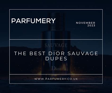 sauvage perfume dupe|dior sauvage cheapest alternative.